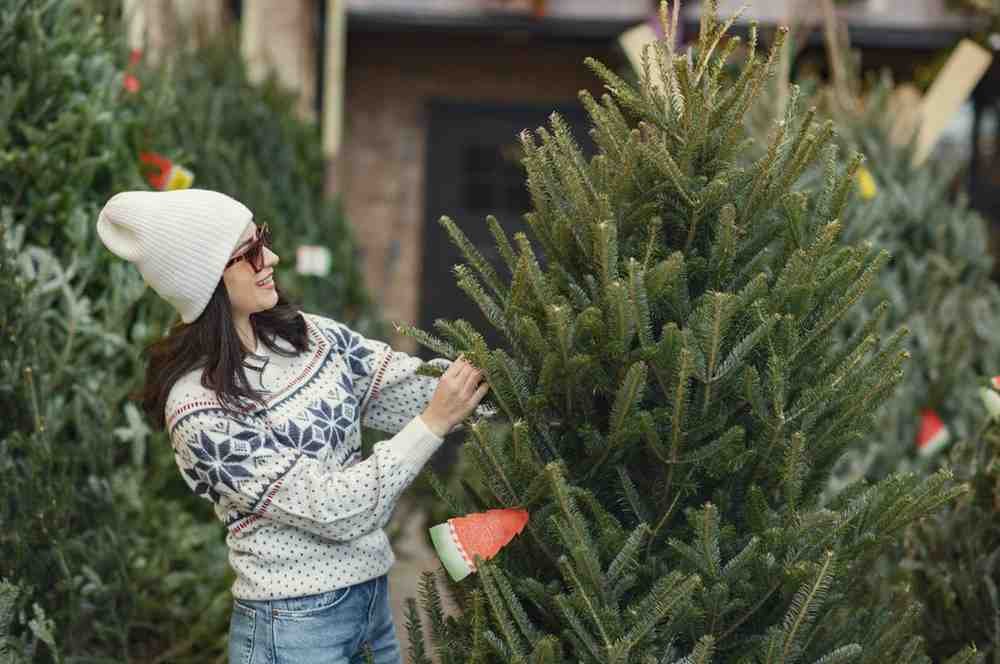 Winter Gardening